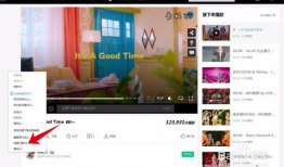 网站上的视频怎么下载,如何制作基于网站视频的概述文章副标题